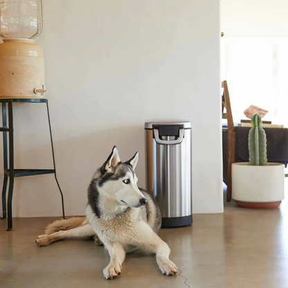 Simplehuman pet food bin