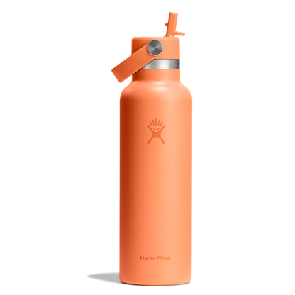 Θερμός Hydro Flask Standard Mouth with Flex Straw Cap 0.6L
